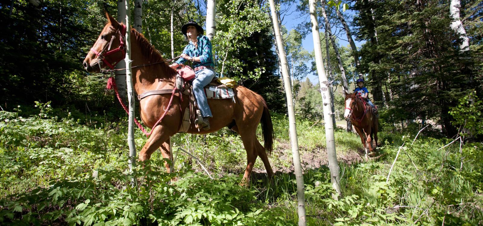 horseback riding colorado